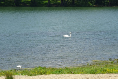 Fürödjön a dunaújvárosi Szabad strandon!